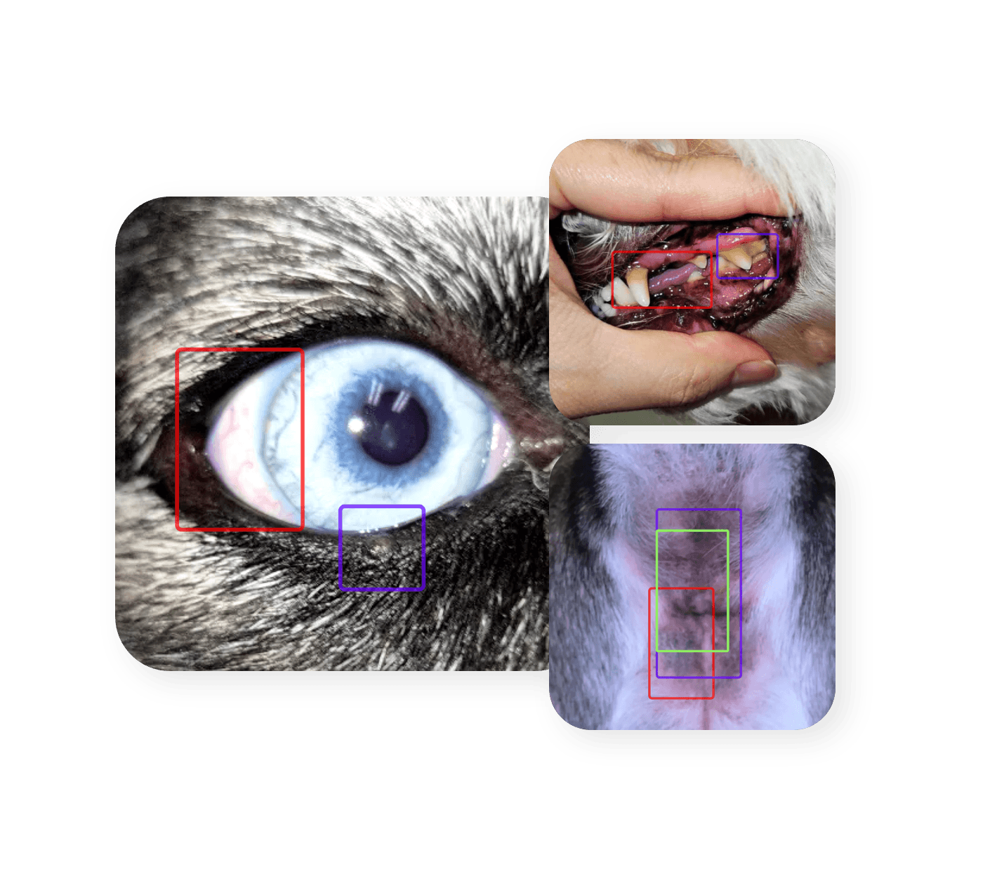 More Meticulous and Efficient Consultations with AI Scan